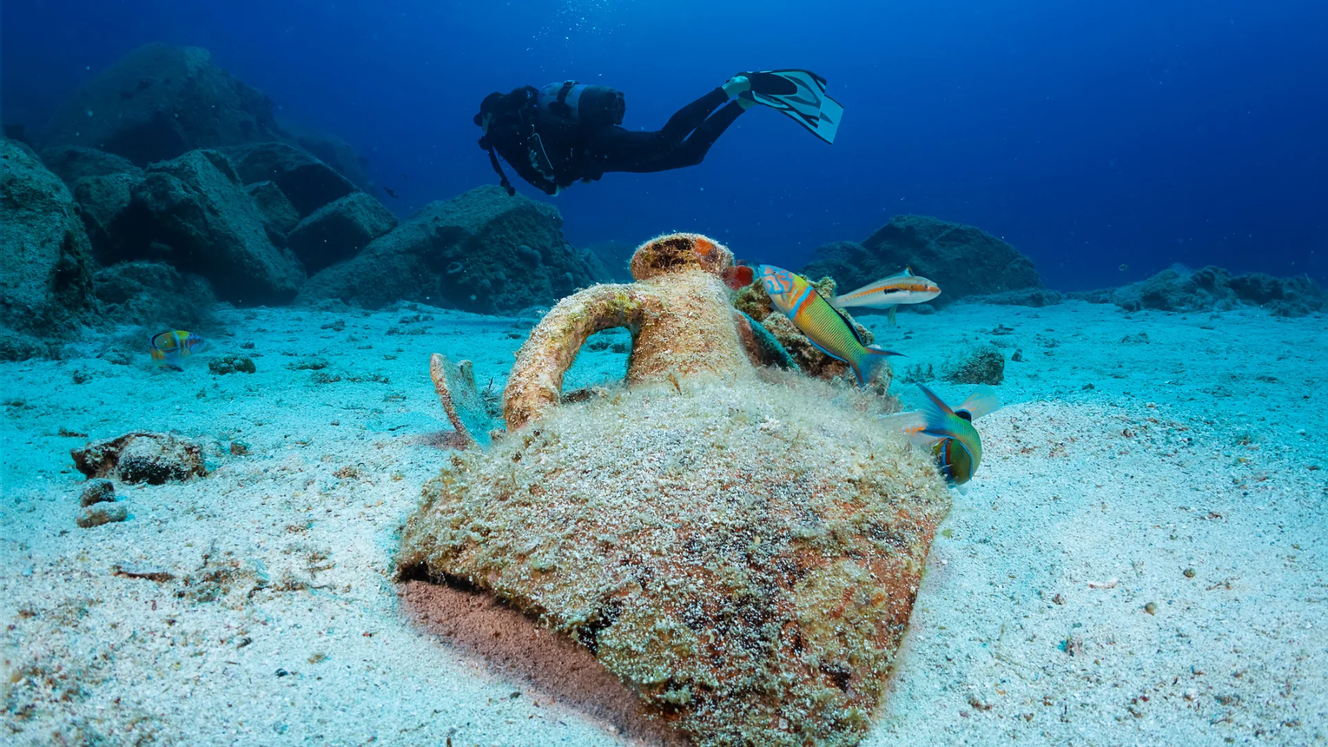 An Amphora from Ancient Greece in the sea